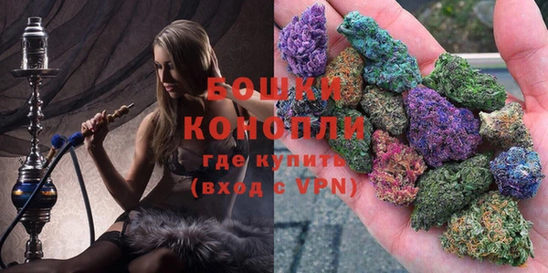 молекула духа Карпинск
