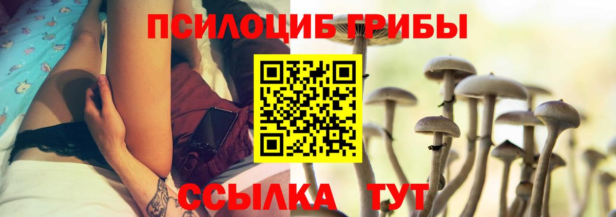 Галлюциногенные грибы Cubensis  Вход с VPN  Советск 