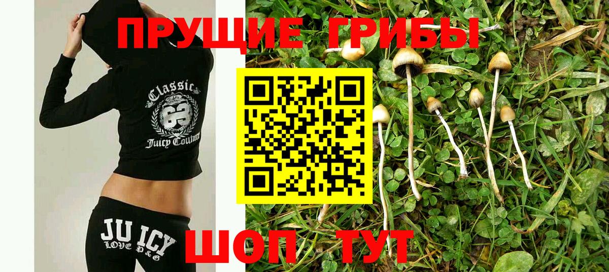 Меф   Кокаин  Конопля  Советск  ГАШИШ  Вход с VPN 